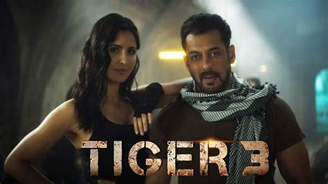 tiger 3 box office|More.